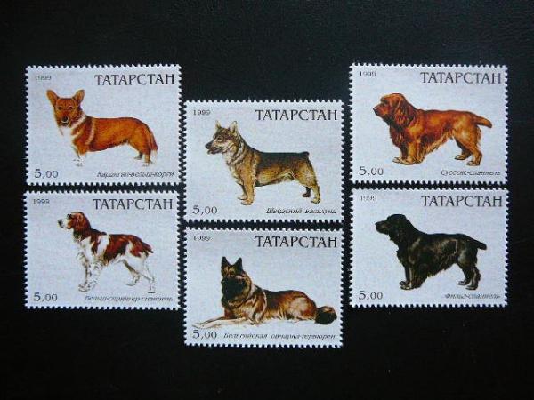 (R) Tatarstanas 1999 Sunys svarus #113