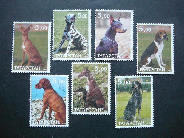 (R) Tatarstanas 2000 Sunys svarus #114