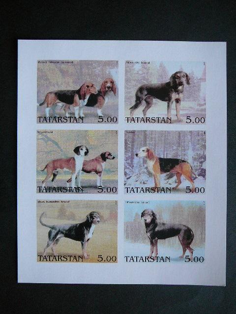(R) Tatarstanas 2001 Sunys svarus #115