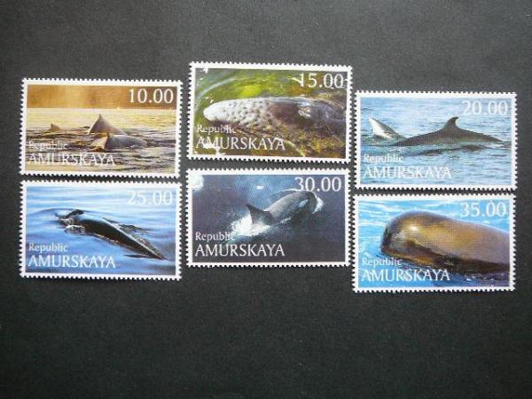 R) Amuras 2000 Banginiai svarus #