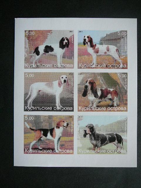 (R) Kurilai 2001 Sunys svarus #bd