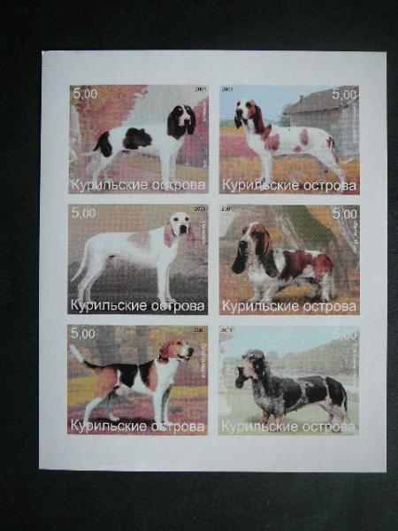 (R) Kurilai 2001 Sunys svarus #bd