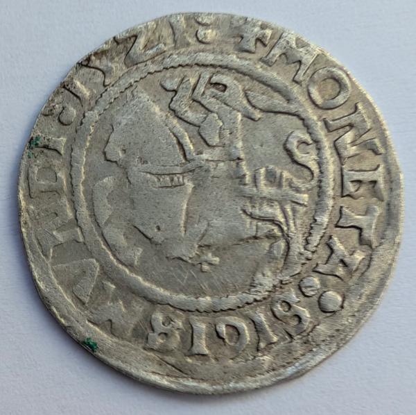 Žygimanto Senojo 1521 pusgrašis 