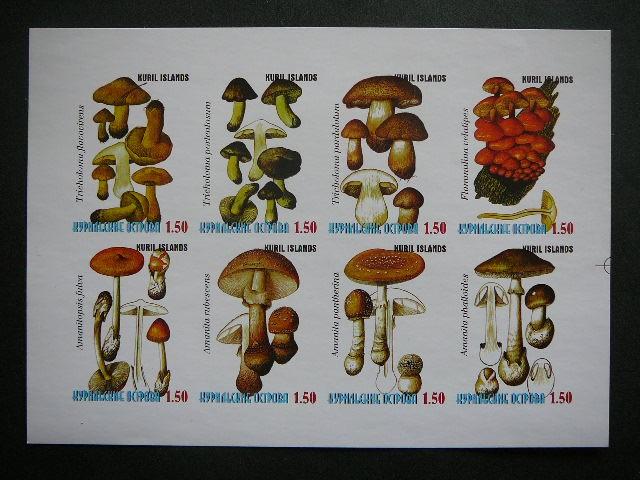 (R) Kurilai 1998 Grybai svarus MNH #bd