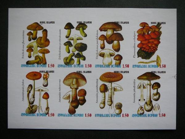 (R) Kurilai 1998 Grybai svarus MNH #bd