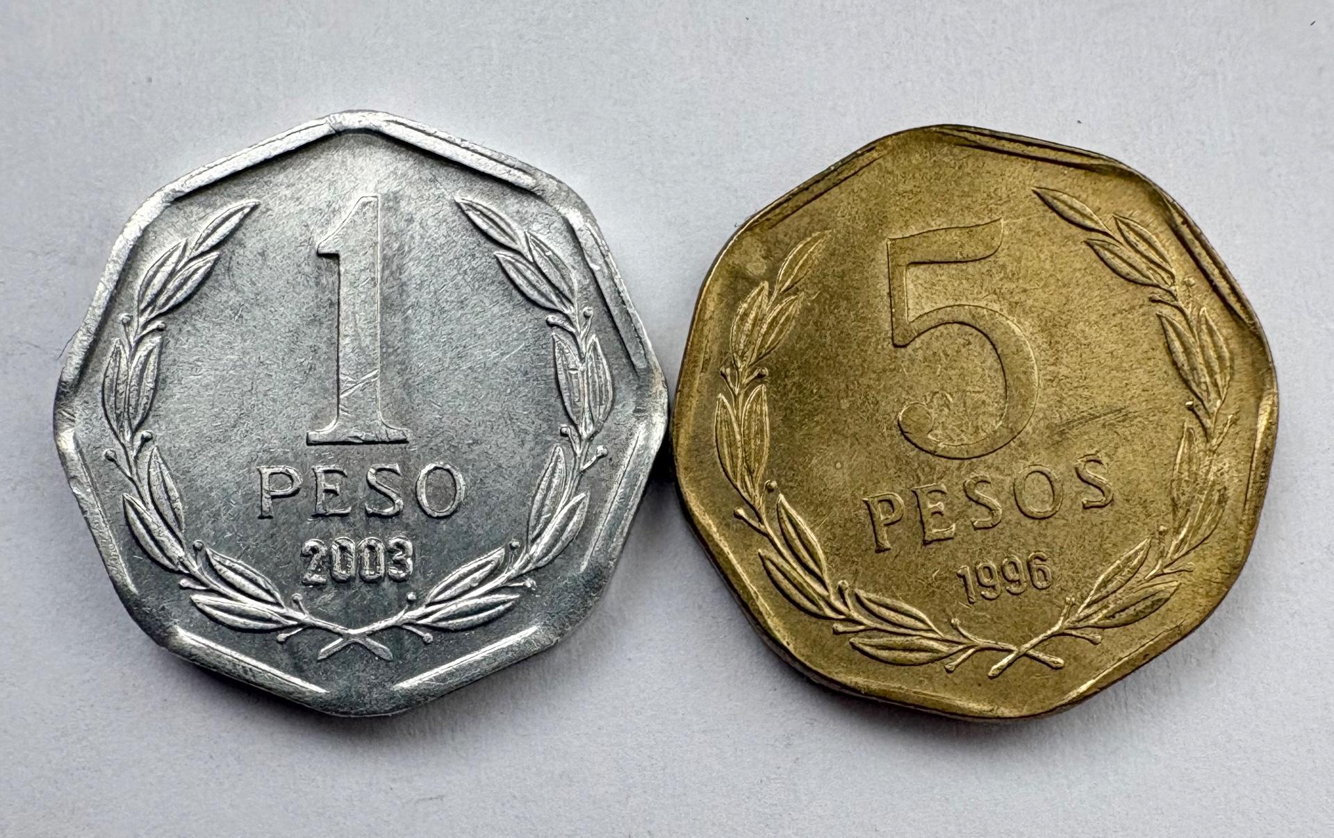 Čilė 1-5 pėdai 2 vnt