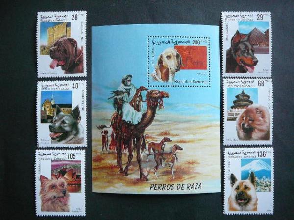 Sahara 2000 Sunys svarus #44