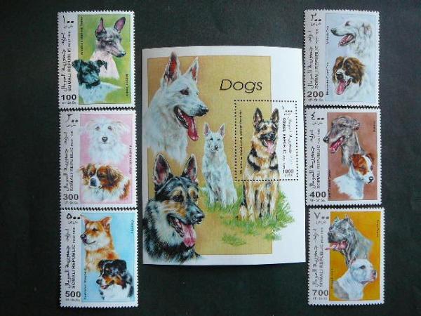 Somalis 1999 Sunys svarus MNH #