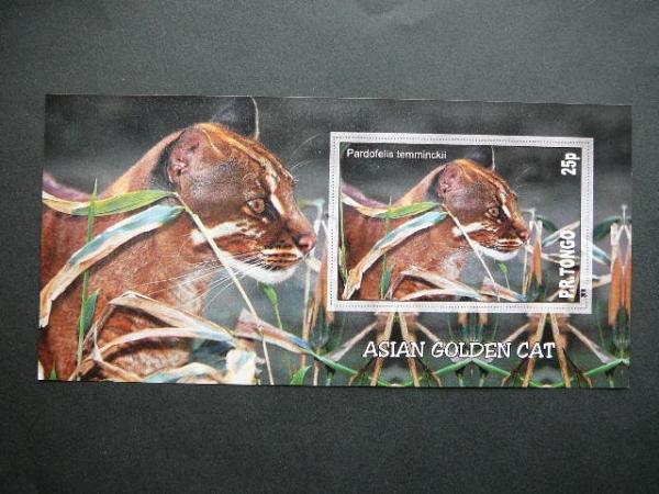 Kates laukines Tonga 2010 svarus bd #101