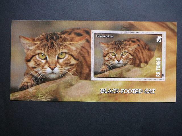 Kates laukines Tonga 2010 svarus bd #102