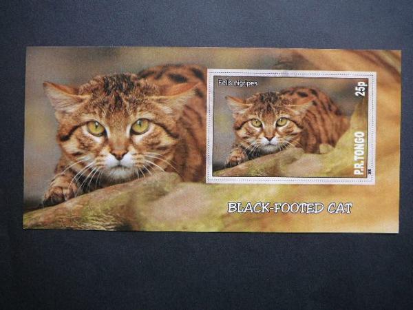 Kates laukines Tonga 2010 svarus bd #102