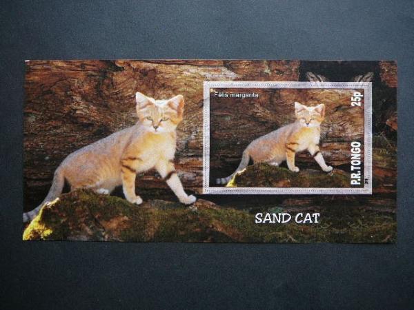 Kates laukines Tonga 2010 svarus bd #103