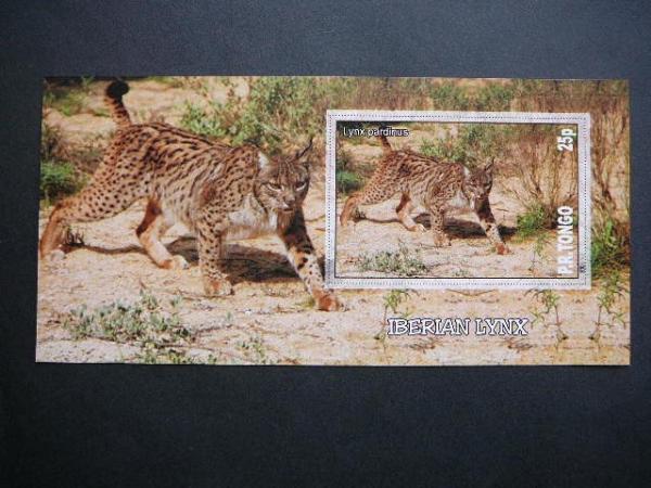 Kates laukines Tonga 2010 svarus bd #104