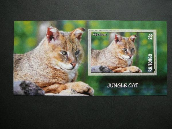 Kates laukines Tonga 2010 svarus bd #105