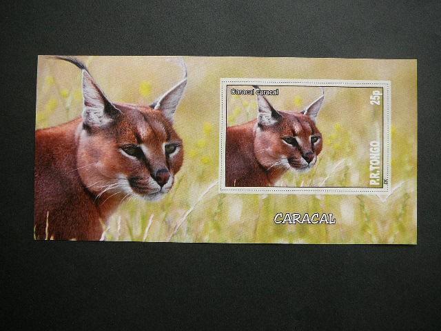 Kates laukines Tonga 2010 svarus bd #106