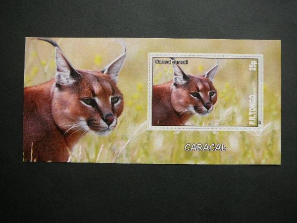 Kates laukines Tonga 2010 svarus bd #106