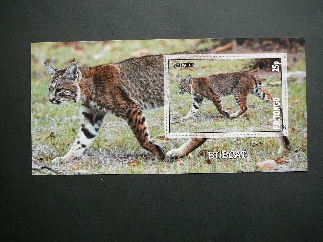 Kates laukines Tonga 2010 svarus bd #107