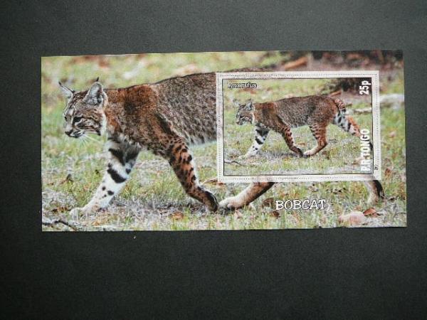 Kates laukines Tonga 2010 svarus bd #107