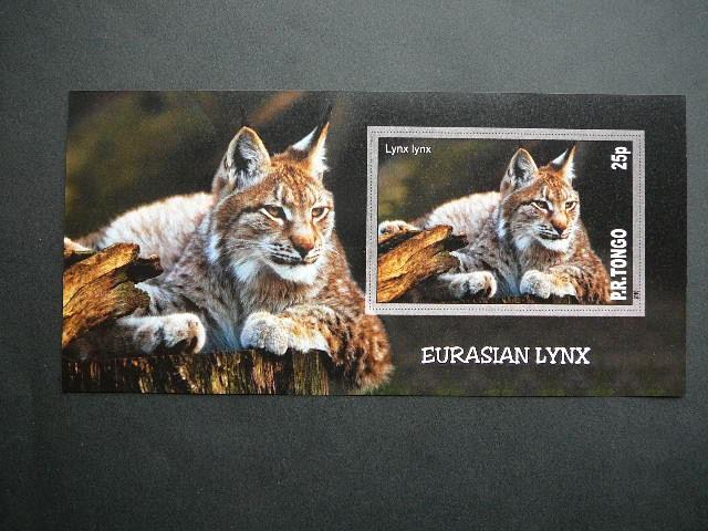 Kates laukines Tonga 2010 svarus bd #108