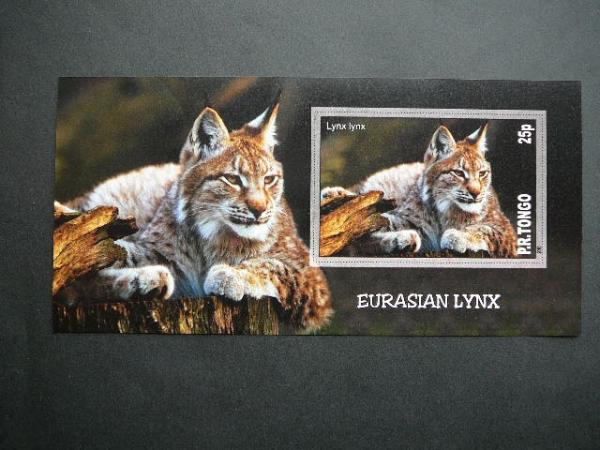 Kates laukines Tonga 2010 svarus bd #108