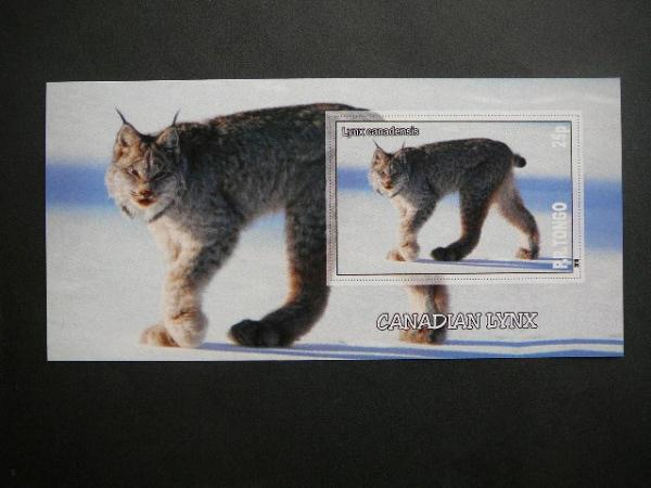 Kates laukines Tonga 2010 svarus bd #109