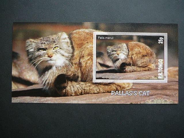 Kates laukines Tonga 2010 svarus bd #110