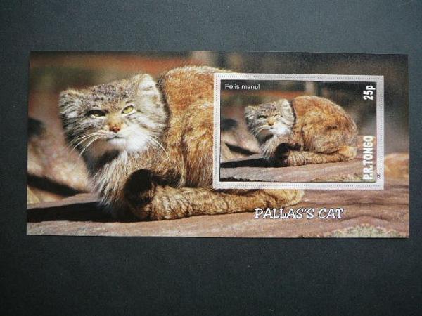 Kates laukines Tonga 2010 svarus bd #110