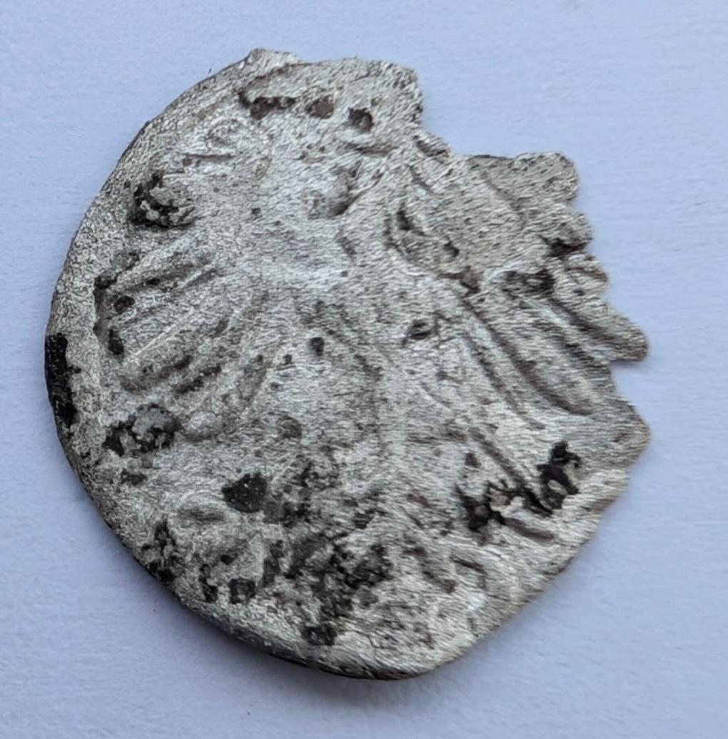 Žygimanto Augusto 1555 denaras 