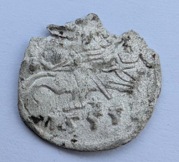 Žygimanto Augusto 1555 denaras 