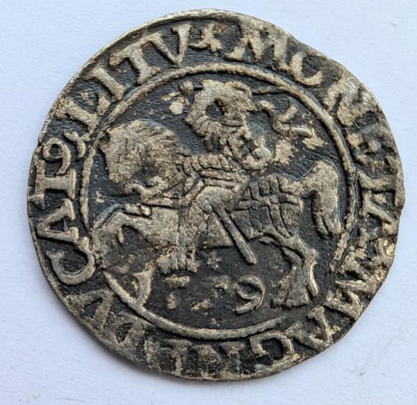 Žygimanto Augusto 1559 pusgrašis 