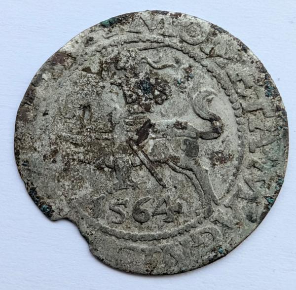 Žygimanto Augusto 1564 pusgrašis 