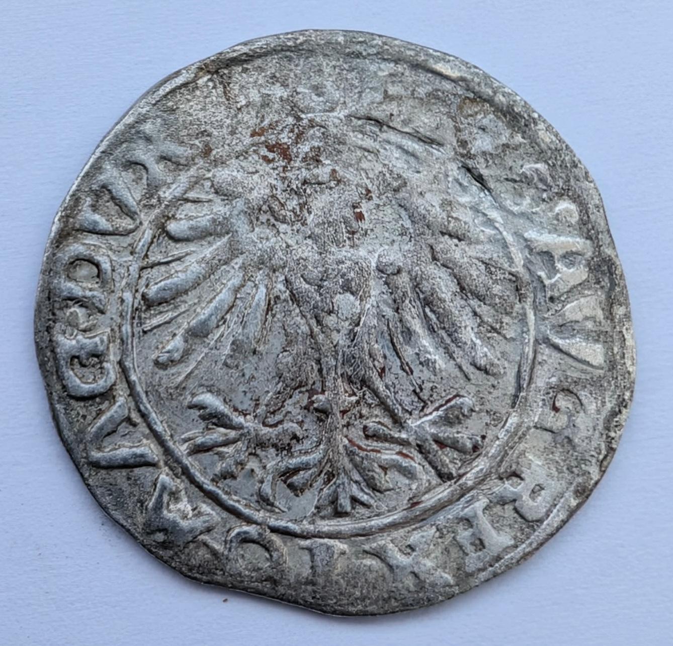 Retas Žygimanto Augusto 1557 pusgrašis 