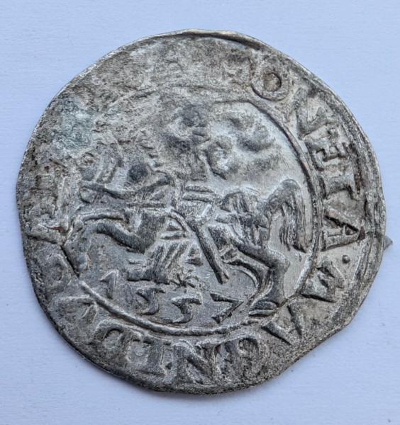 Retas Žygimanto Augusto 1557 pusgrašis 