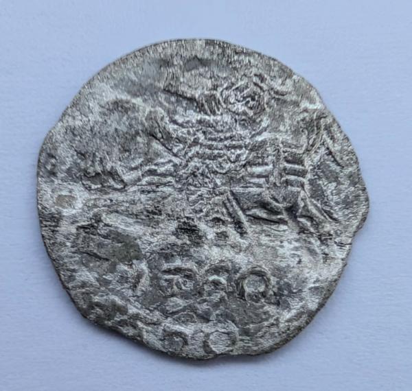 Retas Žygimanto Augusto 1560 denaras