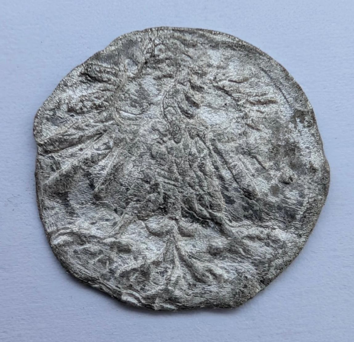 Retas Žygimanto Augusto 1560 denaras