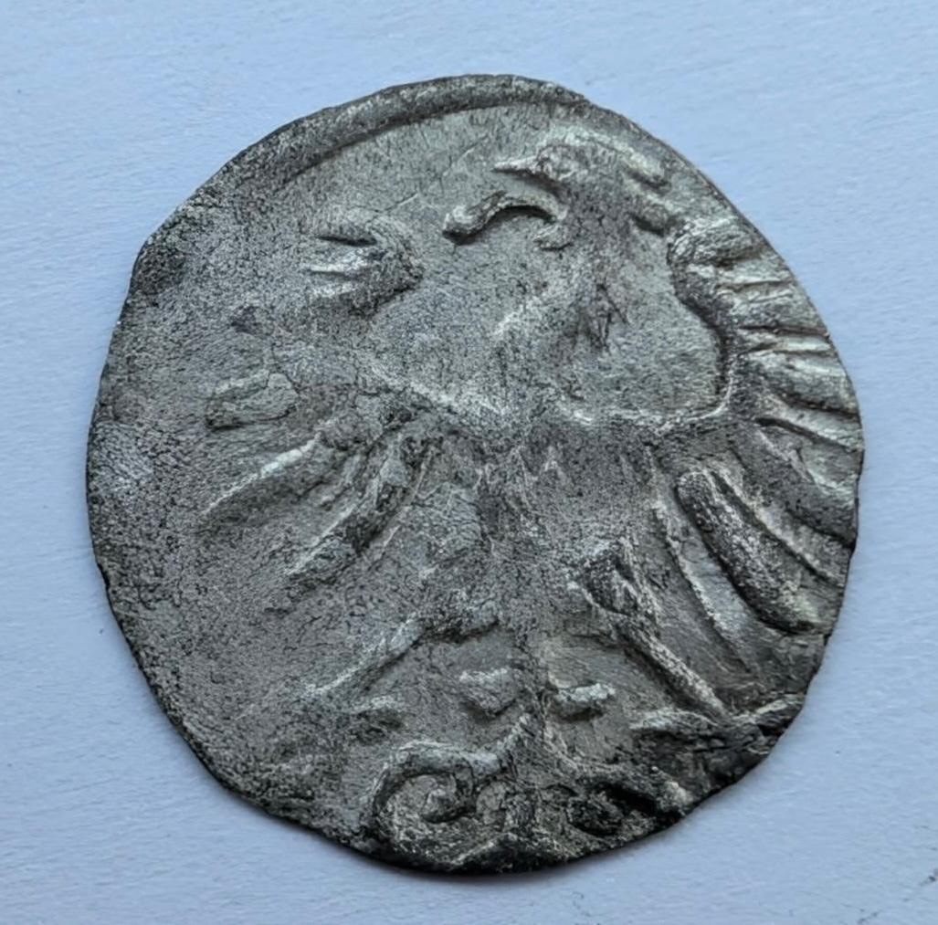 Žygimanto Augusto 1557 denaras 