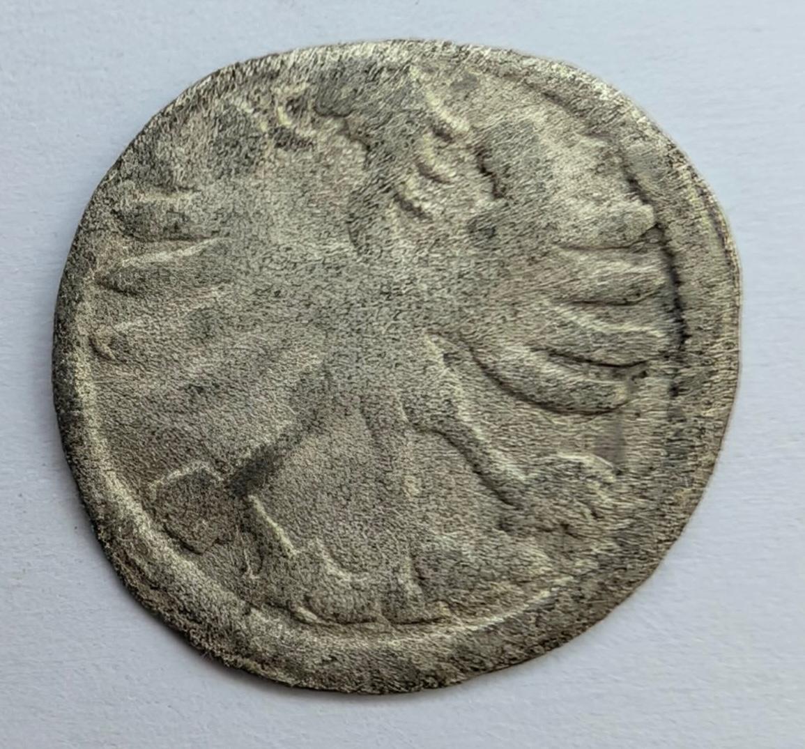 Aleksandro Jogailaičio 1495-1506 denaras gotika
