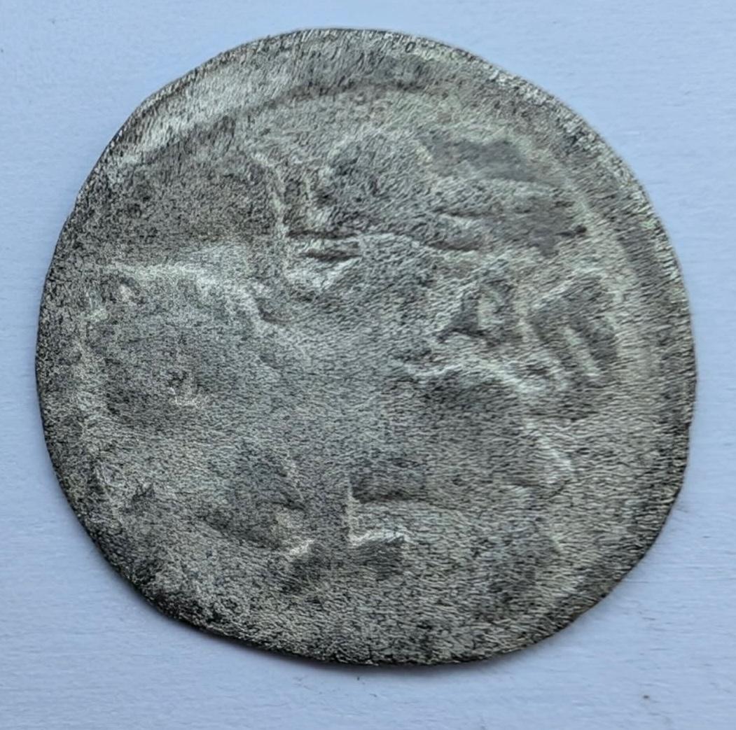Aleksandro Jogailaičio 1495-1506 denaras gotika