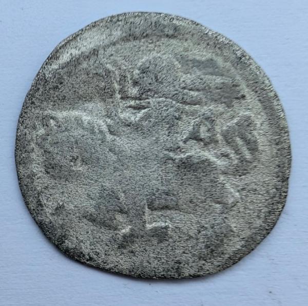 Aleksandro Jogailaičio 1495-1506 denaras gotika