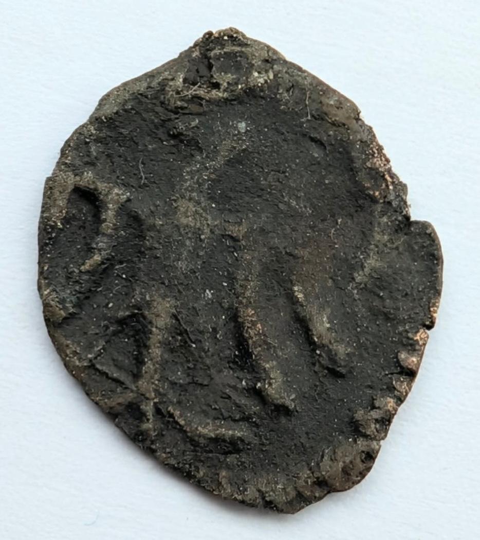 Lenkijos denaras 15a