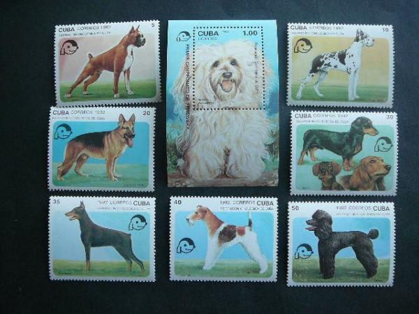 Kuba 1992 Sunys svarus MNH #