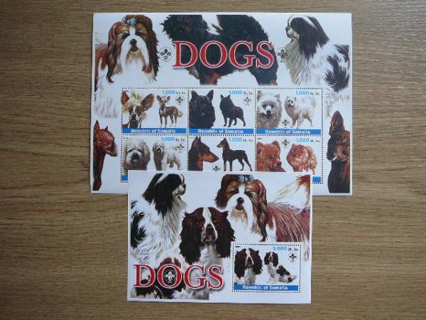 Somalis 2003 Sunys svarus MNH #11