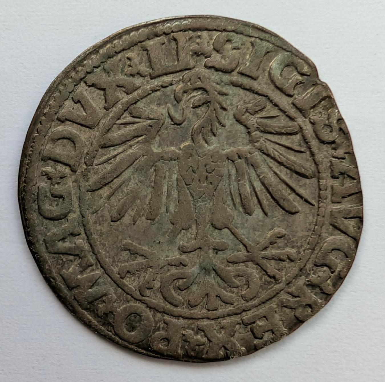 Žygimanto Augusto 1550 pusgrašis 