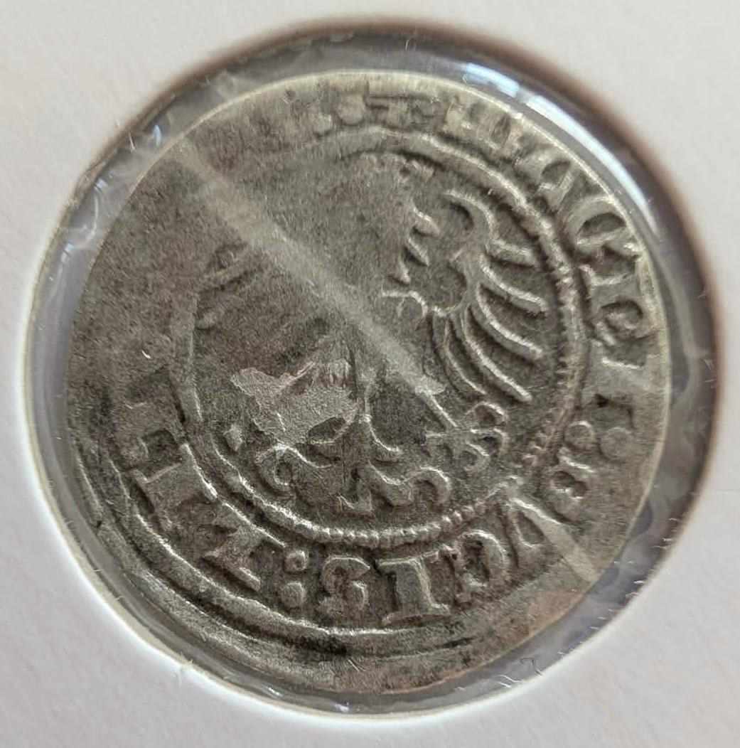 Žygimanto Senojo 1513 pusgrašis pilna data 