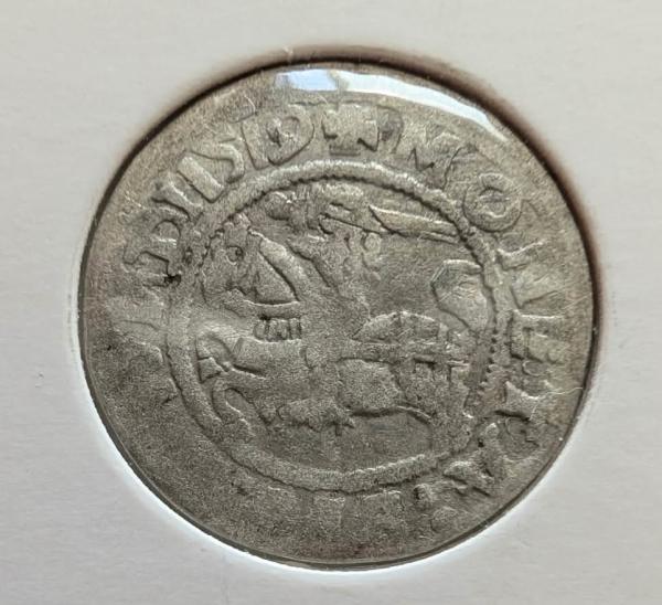 Retas Žygimanto Senojo 1519 pusgrašis 