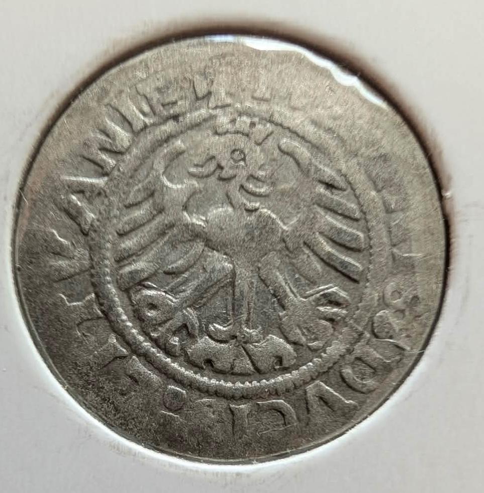 Retas Žygimanto Senojo 1519 pusgrašis 