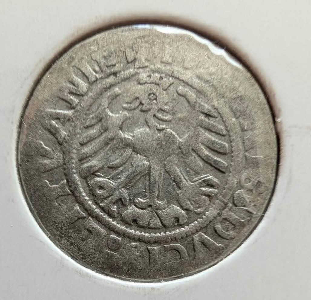 Retas Žygimanto Senojo 1519 pusgrašis 