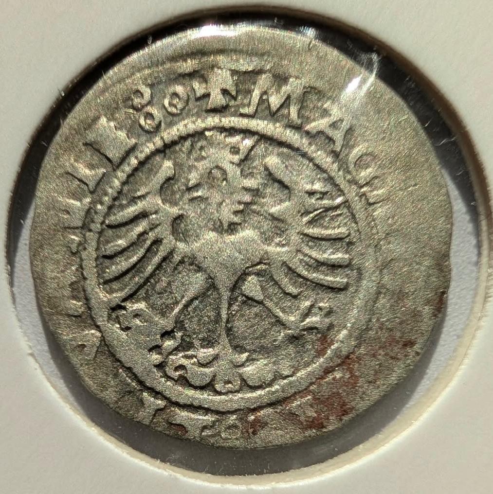 Retas Žygimanto Senojo 1522 pusgrašis 