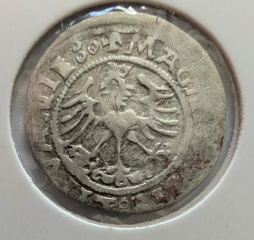 Retas Žygimanto Senojo 1522 pusgrašis 