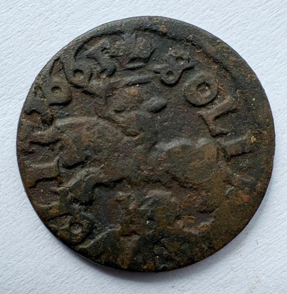 Jono Kazimiero 1665 šilingas 